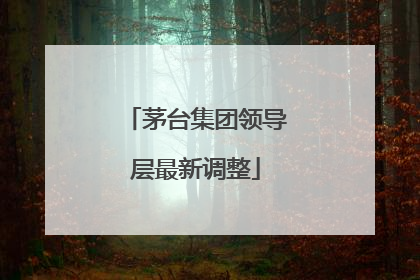 茅台集团领导层最新调整