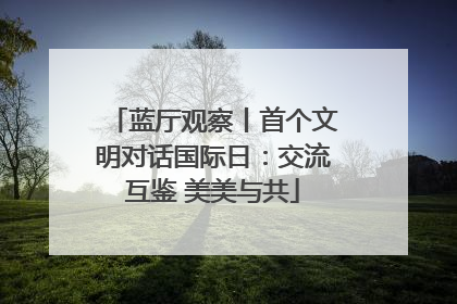 蓝厅观察丨首个文明对话国际日：交流互鉴 美美与共
