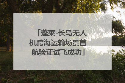 蓬莱-长岛无人机跨海运输场景首航验证试飞成功