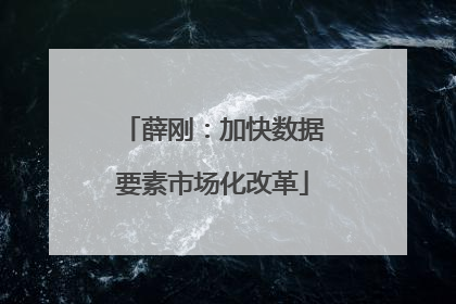 薛刚：加快数据要素市场化改革