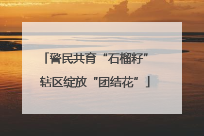 警民共育“石榴籽” 辖区绽放“团结花”
