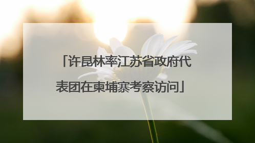 许昆林率江苏省政府代表团在柬埔寨考察访问
