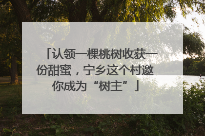 认领一棵桃树收获一份甜蜜，宁乡这个村邀你成为“树主”