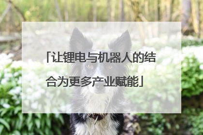 让锂电与机器人的结合为更多产业赋能