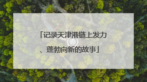记录天津港链上发力、蓬勃向新的故事