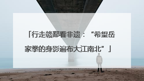 行走赣鄱看非遗：“希望岳家拳的身影遍布大江南北”
