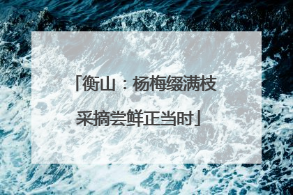 衡山：杨梅缀满枝 采摘尝鲜正当时