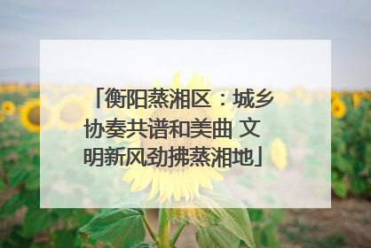 衡阳蒸湘区：城乡协奏共谱和美曲 文明新风劲拂蒸湘地