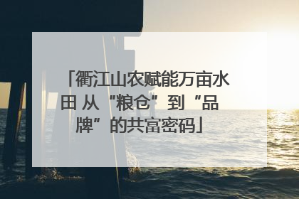 衢江山农赋能万亩水田 从“粮仓”到“品牌”的共富密码