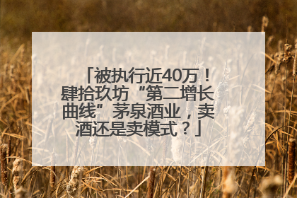 被执行近40万！肆拾玖坊“第二增长曲线”茅泉酒业，卖酒还是卖模式？