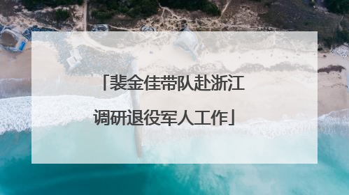 裴金佳带队赴浙江调研退役军人工作