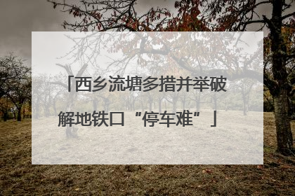 西乡流塘多措并举破解地铁口“停车难”