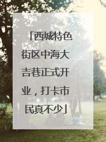 西城特色街区中海大吉巷正式开业，打卡市民真不少