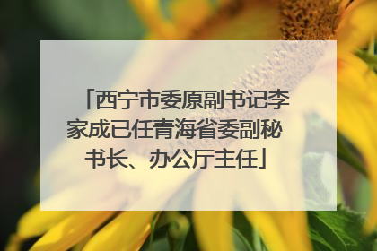 西宁市委原副书记李家成已任青海省委副秘书长、办公厅主任