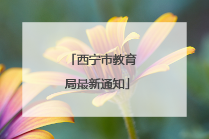 西宁市教育局最新通知