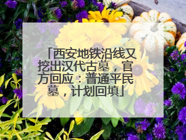 西安地铁沿线又挖出汉代古墓，官方回应：普通平民墓，计划回填