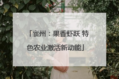 襄州：果香虾跃 特色农业激活新动能