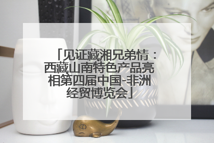 见证藏湘兄弟情：西藏山南特色产品亮相第四届中国-非洲经贸博览会
