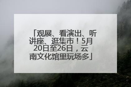 观展、看演出、听讲座、逛集市！5月20日至26日，云南文化馆里玩场多