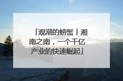 观潮的螃蟹丨湘南之南，一个千亿产业的快速崛起