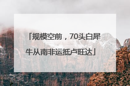 规模空前，70头白犀牛从南非运抵卢旺达