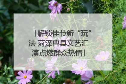 解锁佳节新“玩”法 菏泽曹县文艺汇演点燃群众热情