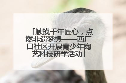 触摸千年匠心，点燃非遗梦想——西厂口社区开展青少年陶艺科技研学活动