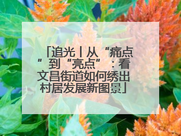 追光丨从“痛点”到“亮点”：看文昌街道如何绣出村居发展新图景