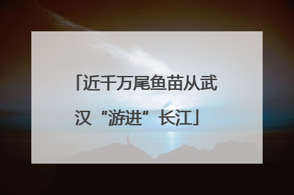 近千万尾鱼苗从武汉“游进”长江