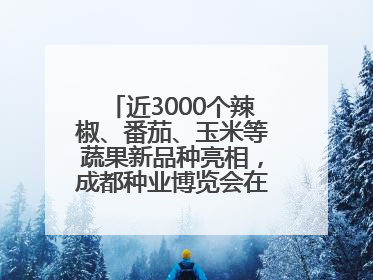 近3000个辣椒、番茄、玉米等蔬果新品种亮相，成都种业博览会在蓉开幕