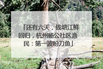 还有六天，钱塘江鲜回归，杭州杨公社区渔民：第一波盼刀鱼