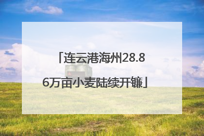 连云港海州28.86万亩小麦陆续开镰
