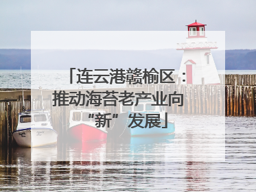 连云港赣榆区：推动海苔老产业向“新”发展