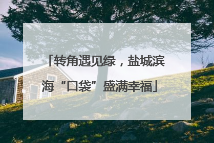 转角遇见绿，盐城滨海“口袋”盛满幸福