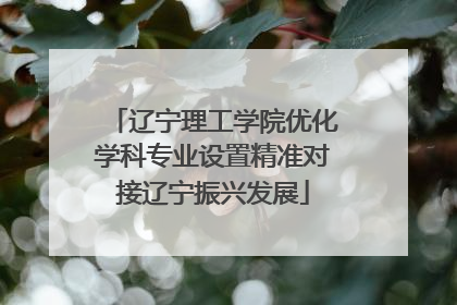 辽宁理工学院优化学科专业设置精准对接辽宁振兴发展