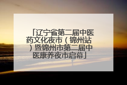 辽宁省第二届中医药文化夜市（锦州站）暨锦州市第二届中医康养夜市启幕