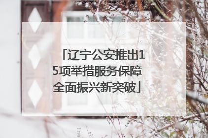 辽宁公安推出15项举措服务保障全面振兴新突破