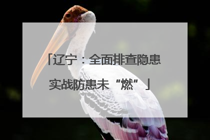 辽宁：全面排查隐患 实战防患未“燃”