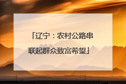 辽宁：农村公路串联起群众致富希望