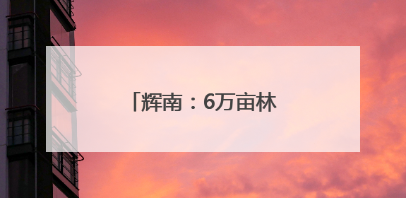 辉南：6万亩林地点“药”成金