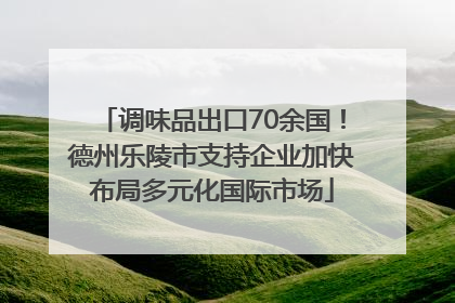 调味品出口70余国！德州乐陵市支持企业加快布局多元化国际市场