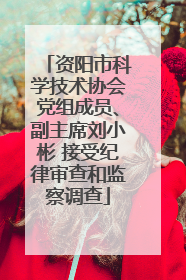 资阳市科学技术协会党组成员、副主席刘小彬 接受纪律审查和监察调查