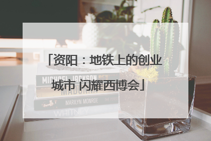 资阳：地铁上的创业城市 闪耀西博会