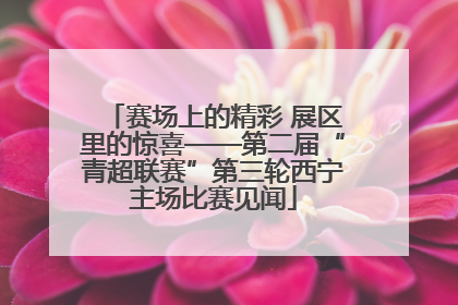赛场上的精彩 展区里的惊喜——第二届“青超联赛”第三轮西宁主场比赛见闻