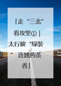 走“三北” 看攻坚①｜太行披“绿装” 连翘药茶香