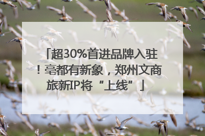 超30%首进品牌入驻！亳都有新象，郑州文商旅新IP将“上线”