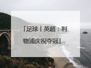 足球丨英超：利物浦庆祝夺冠