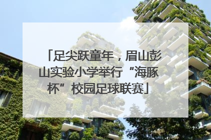 足尖跃童年，眉山彭山实验小学举行“海豚杯”校园足球联赛