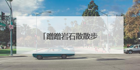 蹭蹭岩石散散步 祁连山拍到雪豹和豺撒欢画面