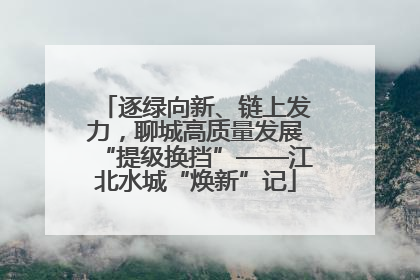 逐绿向新、链上发力，聊城高质量发展“提级换挡”——江北水城“焕新”记
